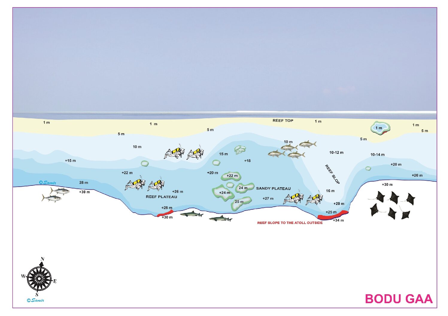 Bodu Gaa
