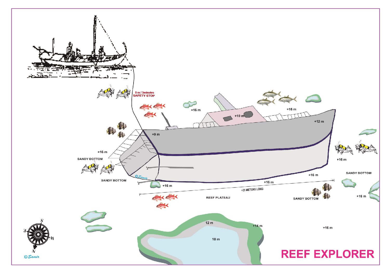 Reef Explorer