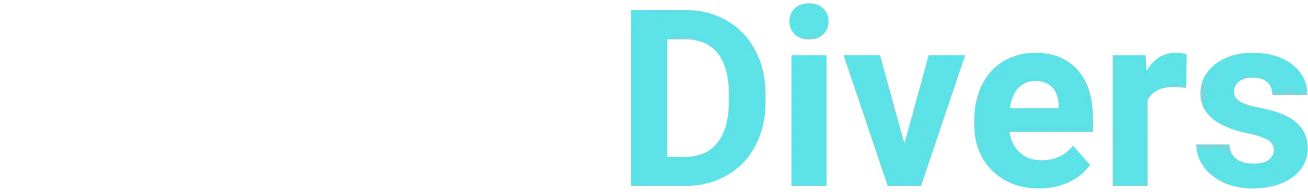 NokuDivers